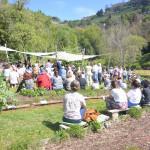Asta Biodiversa aprile 24
