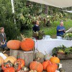 Asta Biodiversa ottobre 2024