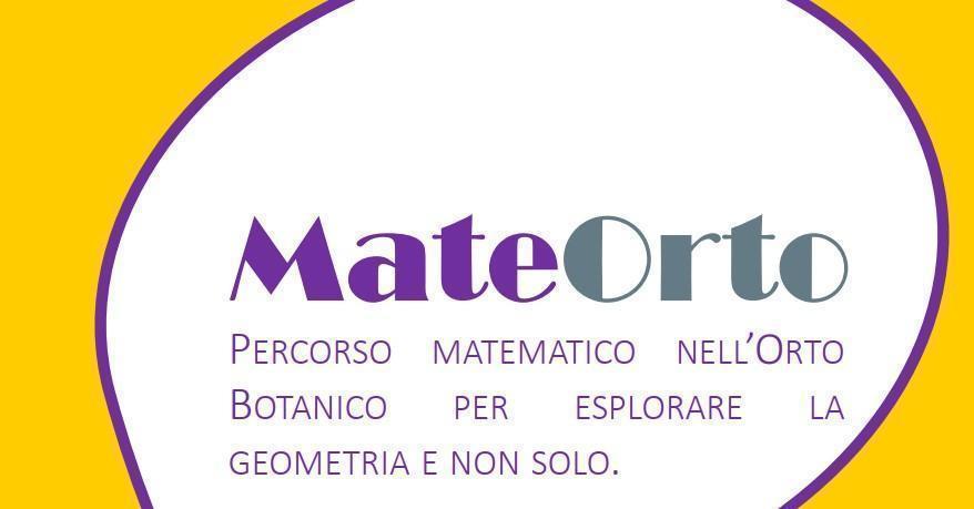 Mateorto