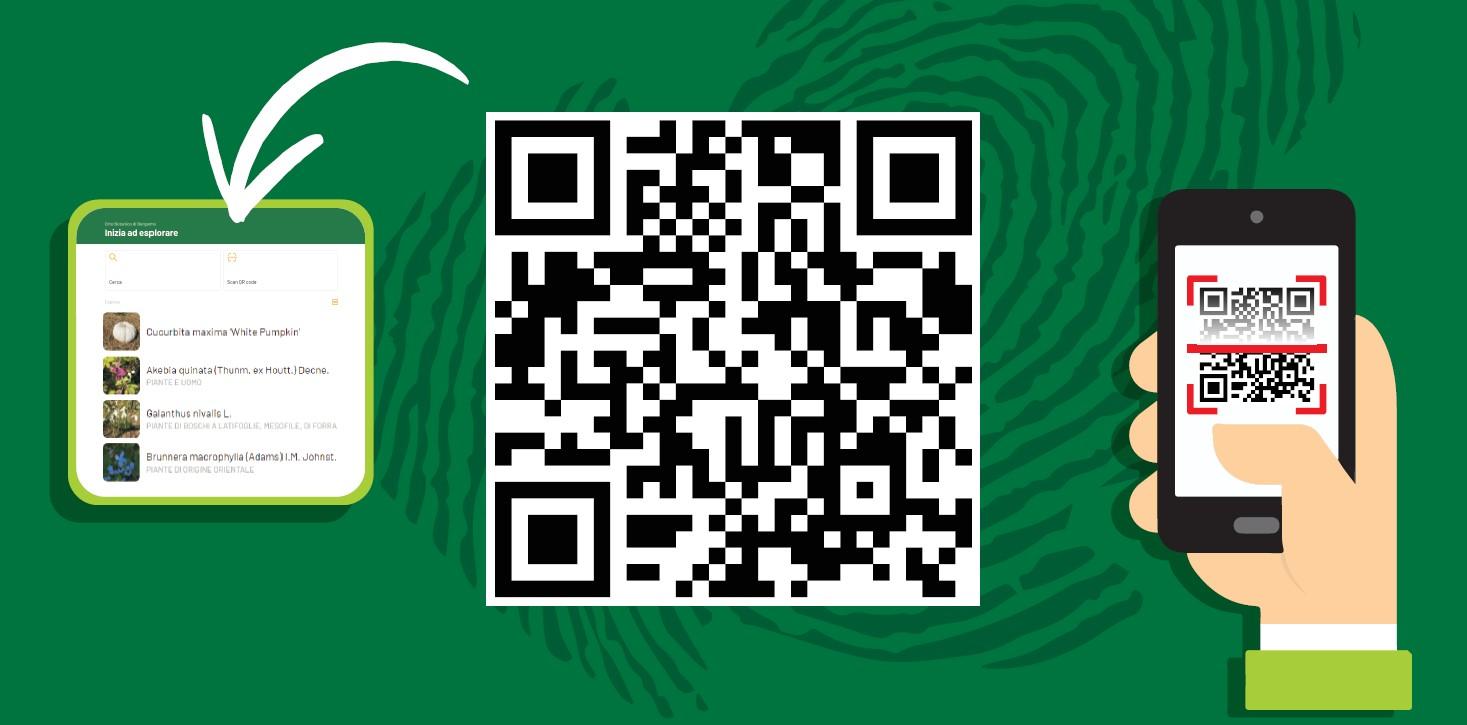 WebAPP