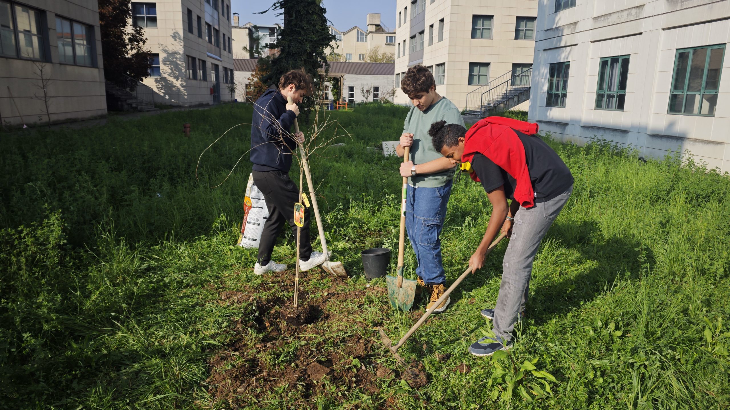 Progetto Gea