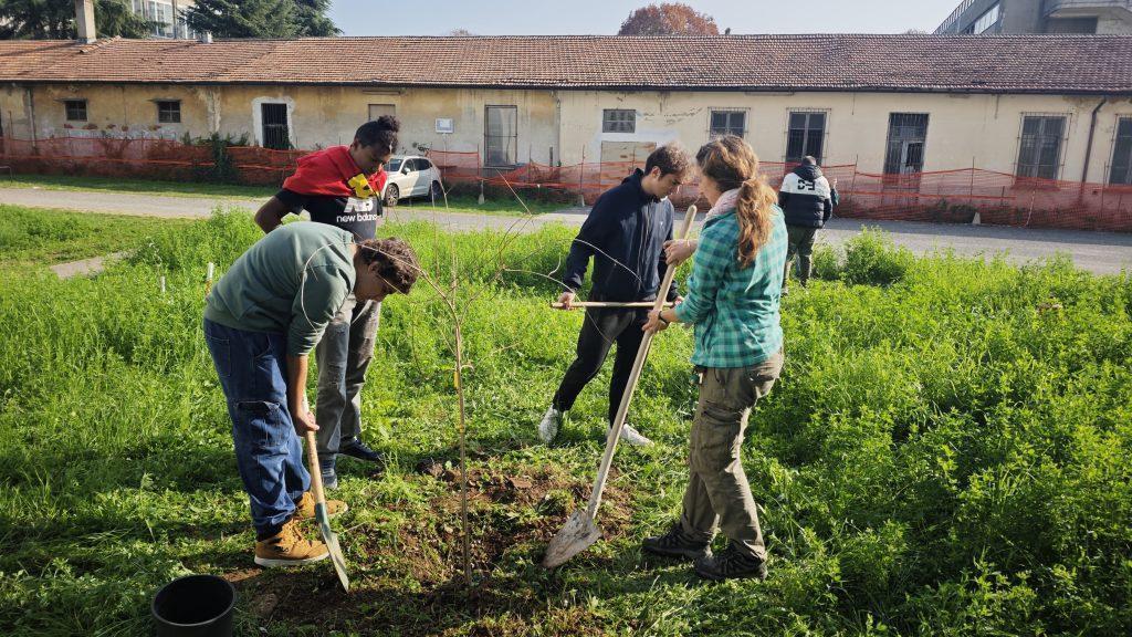 Progetto Gea