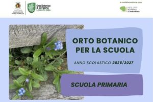 copertina scuola PRIMARIA copertina scuola PRIMARIA